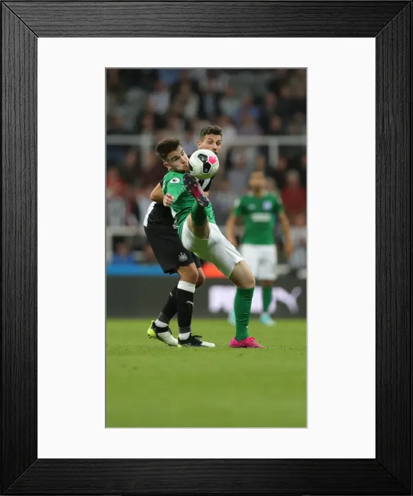 Framed Print : Premier League Showdown: Newcastle United vs. Brighton and Hove Albion at St. James Park (21SEP19) Framed Print : Premier League Showdown: Newcastle United vs. Brighton and Hove Albion at St. James Park (21SEP19)