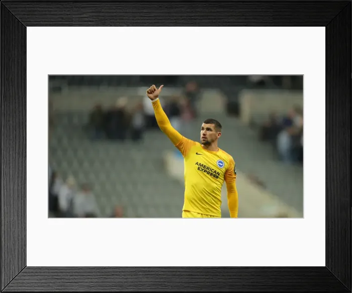 Framed Print : Premier League Showdown: Newcastle United vs. Brighton and Hove Albion at St. James Park (21SEP19) Framed Print : Premier League Showdown: Newcastle United vs. Brighton and Hove Albion at St. James Park (21SEP19)