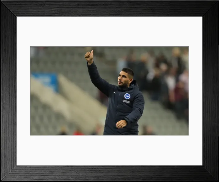 Framed Print : Premier League Showdown: Newcastle United vs. Brighton and Hove Albion at St. James Park (21SEP19) Framed Print : Premier League Showdown: Newcastle United vs. Brighton and Hove Albion at St. James Park (21SEP19)