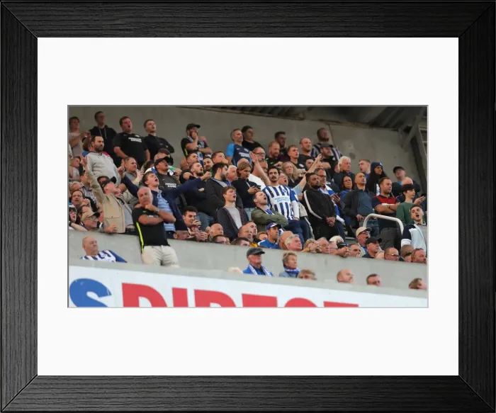 Framed Print : Premier League Showdown: Newcastle United vs. Brighton and Hove Albion at St. James Park (21SEP19) Framed Print : Premier League Showdown: Newcastle United vs. Brighton and Hove Albion at St. James Park (21SEP19)
