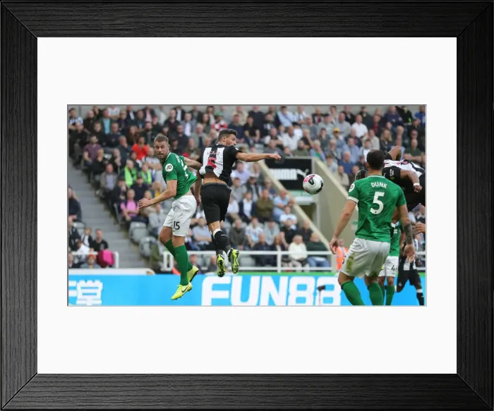 Framed Print : Premier League Showdown: Newcastle United vs. Brighton and Hove Albion at St. James Park (21SEP19) Framed Print : Premier League Showdown: Newcastle United vs. Brighton and Hove Albion at St. James Park (21SEP19)