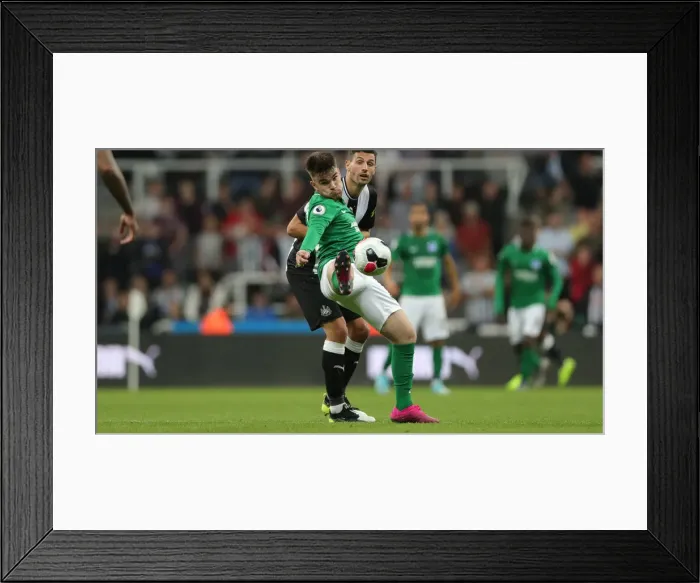 Framed Print : September Showdown: Premier League Clash between Newcastle United and Brighton & Hove Albion (21SEP19) Framed Print : September Showdown: Premier League Clash between Newcastle United and Brighton & Hove Albion (21SEP19)