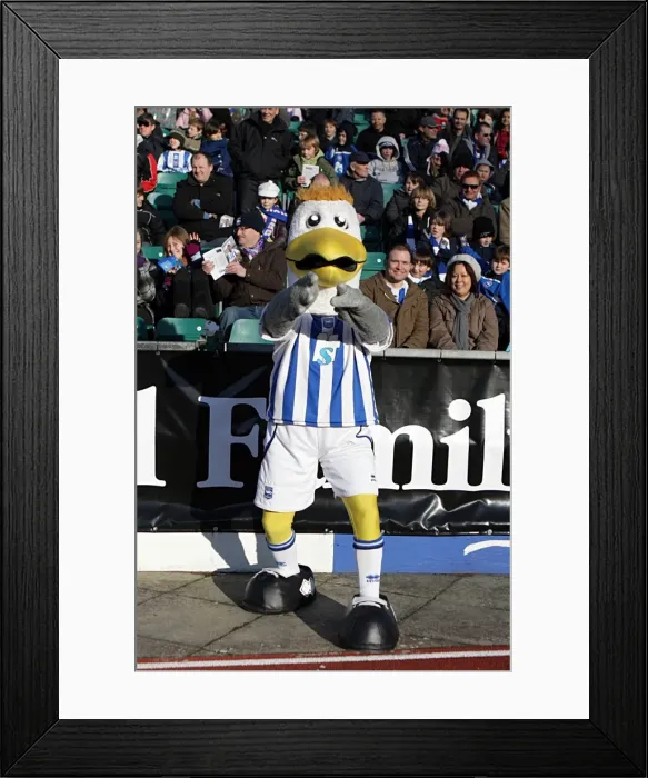 Framed Print : Gully - Pointing (Family Stand) Framed Print : Gully - Pointing (Family Stand)