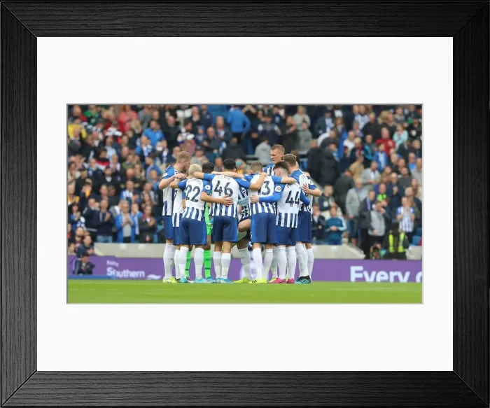 Framed Print : Brighton and Hove Albion vs. Tottenham Hotspur: Premier League Showdown at American Express Community Stadium (5th October 2019) Framed Print : Brighton and Hove Albion vs. Tottenham Hotspur: Premier League Showdown at American Express Community Stadium (5th October 2019)