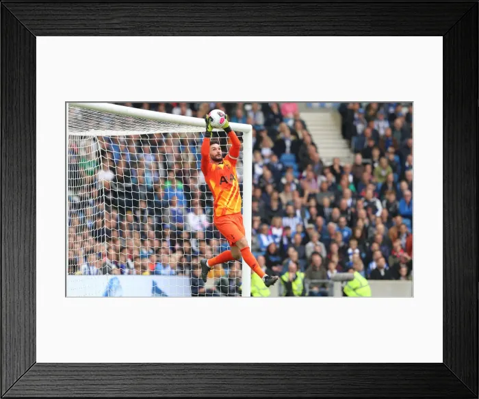 Framed Print : Brighton & Hove Albion vs. Tottenham Hotspur: Premier League Showdown at American Express Community Stadium (5th October 2019)