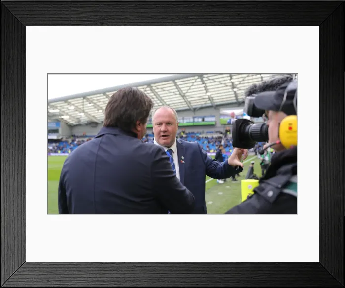 Framed Print : Brighton & Hove Albion vs. Tottenham Hotspur: Premier League Showdown at American Express Community Stadium (5th October 2019) Framed Print : Brighton & Hove Albion vs. Tottenham Hotspur: Premier League Showdown at American Express Community Stadium (5th October 2019)