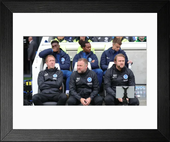 Framed Print : Brighton and Hove Albion vs. Tottenham Hotspur: Premier League Showdown at American Express Community Stadium (5th October 2019) Framed Print : Brighton and Hove Albion vs. Tottenham Hotspur: Premier League Showdown at American Express Community Stadium (5th October 2019)