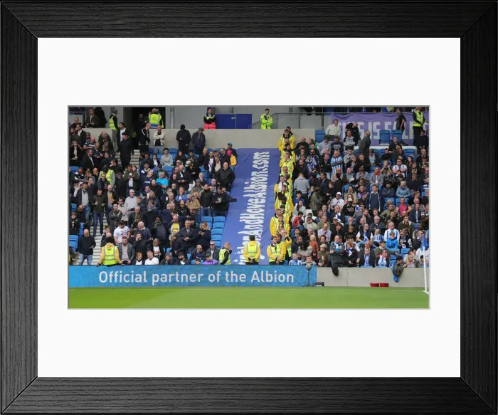 Framed Print : Brighton and Hove Albion vs. Tottenham Hotspur: Premier League Showdown at American Express Community Stadium (05OCT19) Framed Print : Brighton and Hove Albion vs. Tottenham Hotspur: Premier League Showdown at American Express Community Stadium (05OCT19)