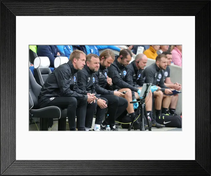 Framed Print : Brighton and Hove Albion vs. Tottenham Hotspur: Premier League Showdown at American Express Community Stadium (5th October 2019) Framed Print : Brighton and Hove Albion vs. Tottenham Hotspur: Premier League Showdown at American Express Community Stadium (5th October 2019)