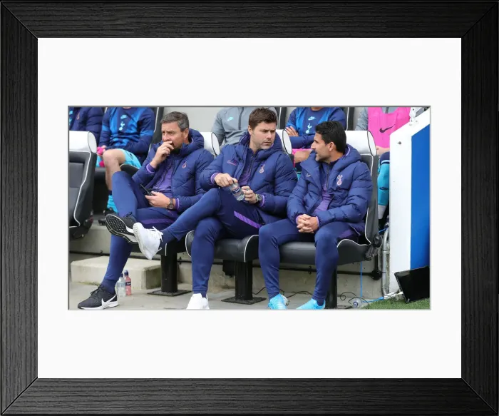 Framed Print : Brighton & Hove Albion vs. Tottenham Hotspur: Premier League Showdown at American Express Community Stadium (5th October 2019) Framed Print : Brighton & Hove Albion vs. Tottenham Hotspur: Premier League Showdown at American Express Community Stadium (5th October 2019)