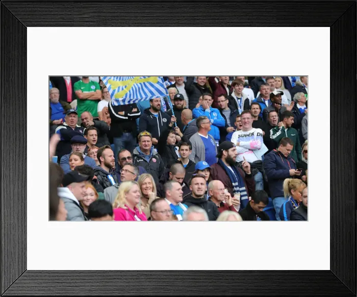 Framed Print : Brighton & Hove Albion vs. Tottenham Hotspur: Premier League Showdown at American Express Community Stadium (5th October 2019) Framed Print : Brighton & Hove Albion vs. Tottenham Hotspur: Premier League Showdown at American Express Community Stadium (5th October 2019)