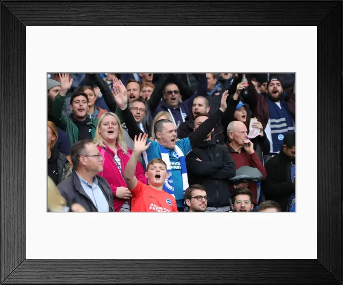 Framed Print : Brighton and Hove Albion vs. Tottenham Hotspur: Premier League Showdown at American Express Community Stadium (5th October 2019) Framed Print : Brighton and Hove Albion vs. Tottenham Hotspur: Premier League Showdown at American Express Community Stadium (5th October 2019)