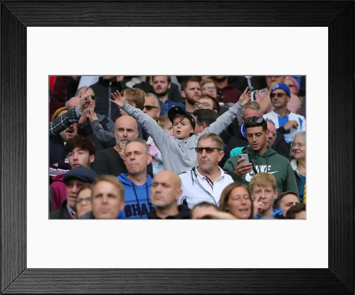 Framed Print : Brighton and Hove Albion vs. Tottenham Hotspur: Premier League Showdown at American Express Community Stadium (5th October 2019)