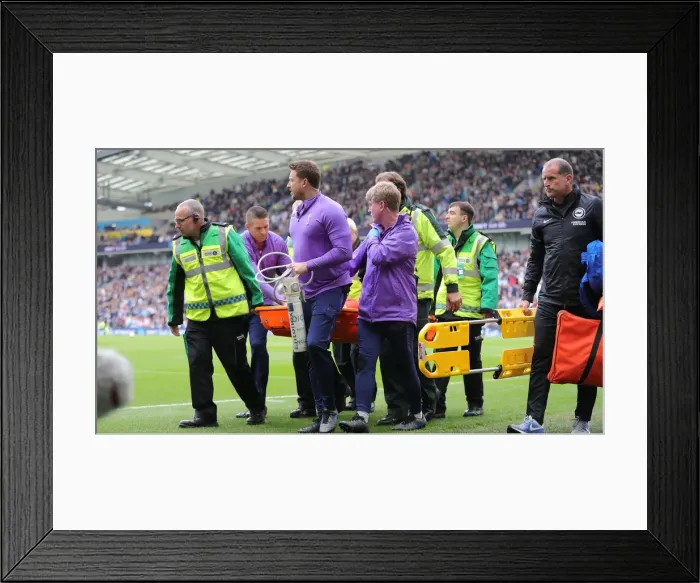 Framed Print : Brighton and Hove Albion vs. Tottenham Hotspur: Premier League Showdown at American Express Community Stadium (5th October 2019) Framed Print : Brighton and Hove Albion vs. Tottenham Hotspur: Premier League Showdown at American Express Community Stadium (5th October 2019)