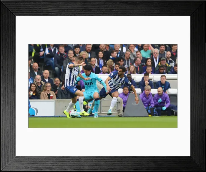 Framed Print : Brighton and Hove Albion vs. Tottenham Hotspur: Premier League Showdown at American Express Community Stadium (5th October 2019) Framed Print : Brighton and Hove Albion vs. Tottenham Hotspur: Premier League Showdown at American Express Community Stadium (5th October 2019)