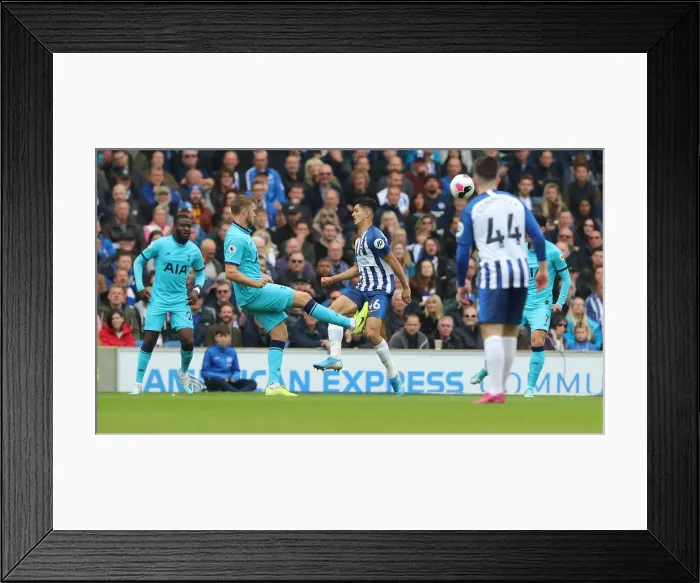 Framed Print : Brighton and Hove Albion vs. Tottenham Hotspur: Premier League Showdown at American Express Community Stadium (5th October 2019) Framed Print : Brighton and Hove Albion vs. Tottenham Hotspur: Premier League Showdown at American Express Community Stadium (5th October 2019)