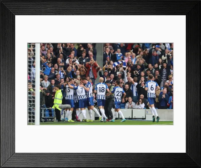 Framed Print : Brighton and Hove Albion vs. Tottenham Hotspur: Premier League Showdown at American Express Community Stadium (5th October 2019)
