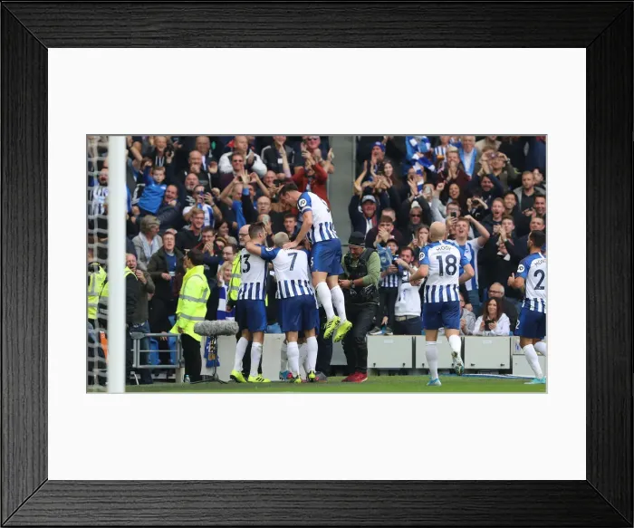 Framed Print : Brighton and Hove Albion vs. Tottenham Hotspur: Premier League Showdown at American Express Community Stadium (5th October 2019) Framed Print : Brighton and Hove Albion vs. Tottenham Hotspur: Premier League Showdown at American Express Community Stadium (5th October 2019)