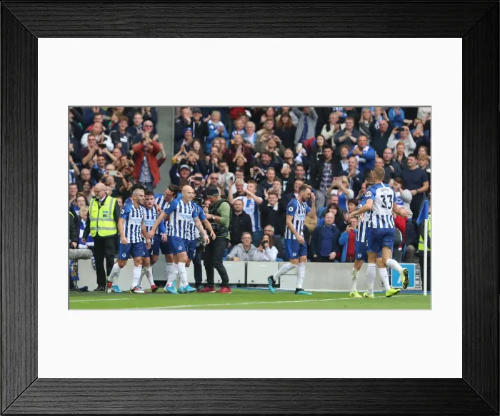 Framed Print : Brighton and Hove Albion vs. Tottenham Hotspur: Premier League Showdown at American Express Community Stadium (5th October 2019) Framed Print : Brighton and Hove Albion vs. Tottenham Hotspur: Premier League Showdown at American Express Community Stadium (5th October 2019)