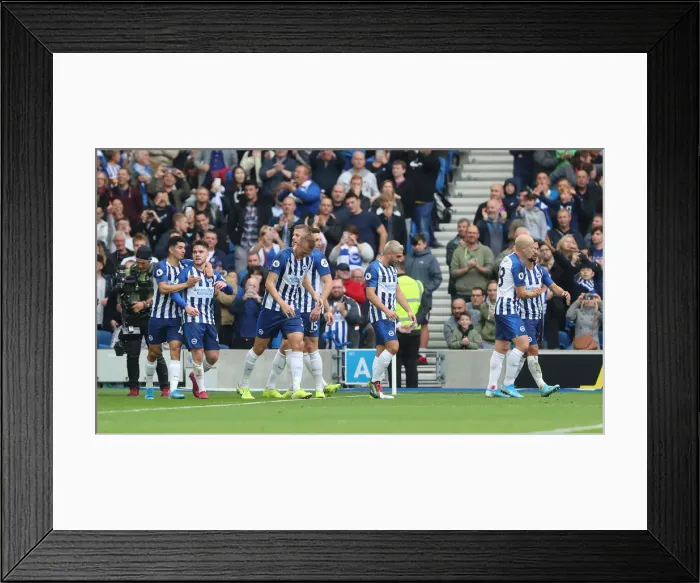 Framed Print : Brighton and Hove Albion vs. Tottenham Hotspur: Premier League Showdown at American Express Community Stadium (5th October 2019) Framed Print : Brighton and Hove Albion vs. Tottenham Hotspur: Premier League Showdown at American Express Community Stadium (5th October 2019)