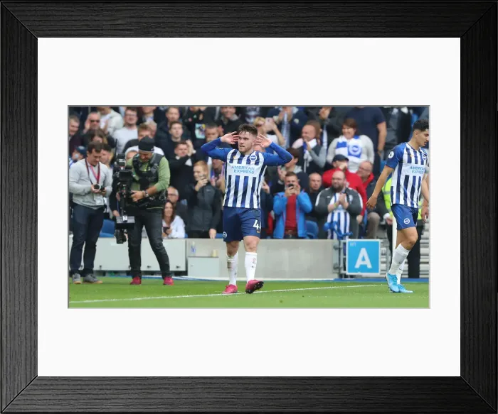 Framed Print : Brighton and Hove Albion vs. Tottenham Hotspur: Premier League Showdown at American Express Community Stadium (5th October 2019) Framed Print : Brighton and Hove Albion vs. Tottenham Hotspur: Premier League Showdown at American Express Community Stadium (5th October 2019)