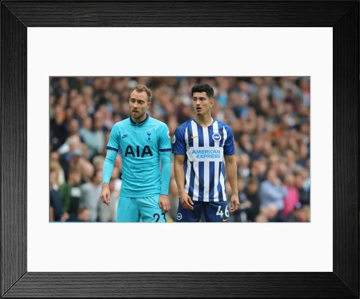 Framed Print : Brighton and Hove Albion vs. Tottenham Hotspur: Premier League Showdown at American Express Community Stadium (5th October 2019) Framed Print : Brighton and Hove Albion vs. Tottenham Hotspur: Premier League Showdown at American Express Community Stadium (5th October 2019)