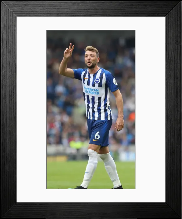 Framed Print : Brighton and Hove Albion vs. Tottenham Hotspur: Premier League Showdown at American Express Community Stadium (5th October 2019) Framed Print : Brighton and Hove Albion vs. Tottenham Hotspur: Premier League Showdown at American Express Community Stadium (5th October 2019)