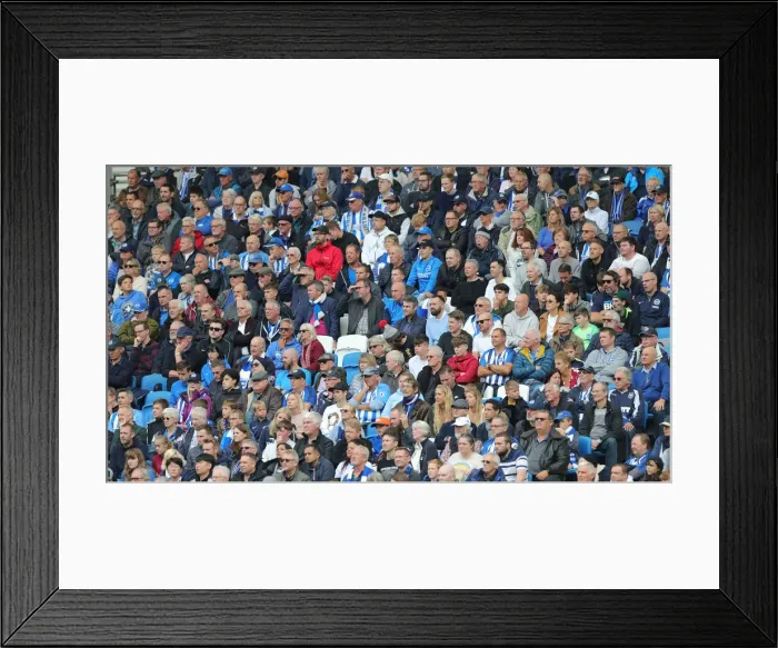 Framed Print : Brighton and Hove Albion vs. Tottenham Hotspur: Premier League Showdown at American Express Community Stadium (5th October 2019) Framed Print : Brighton and Hove Albion vs. Tottenham Hotspur: Premier League Showdown at American Express Community Stadium (5th October 2019)