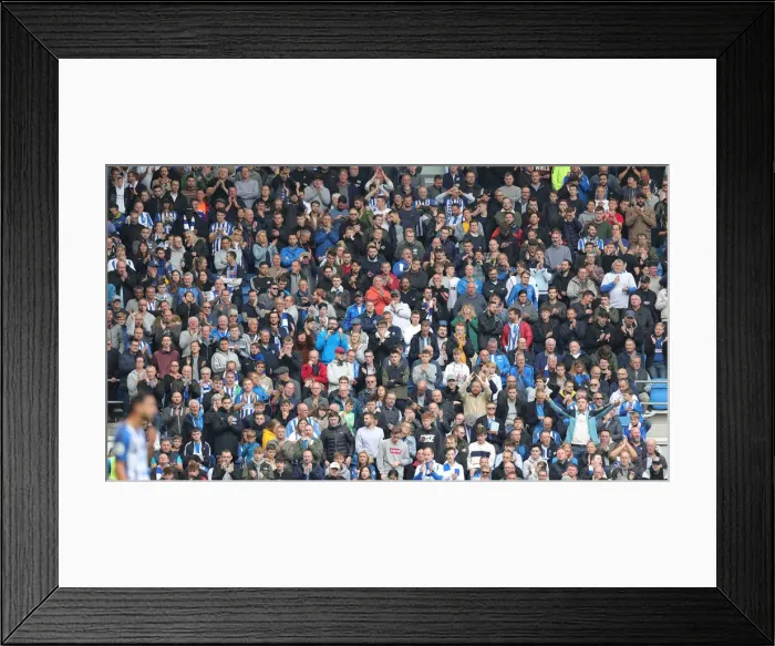 Framed Print : Brighton and Hove Albion vs. Tottenham Hotspur: Premier League Showdown at American Express Community Stadium (5th October 2019) Framed Print : Brighton and Hove Albion vs. Tottenham Hotspur: Premier League Showdown at American Express Community Stadium (5th October 2019)