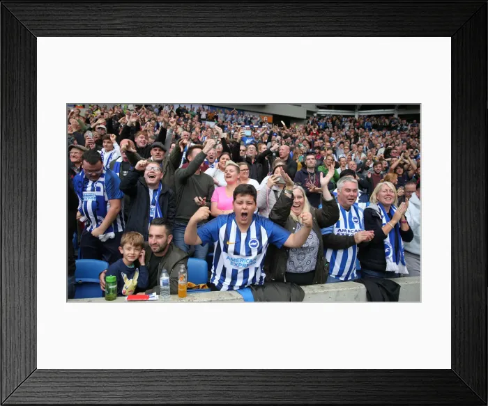 Framed Print : Brighton and Hove Albion vs. Tottenham Hotspur: Premier League Showdown at American Express Community Stadium (5th October 2019) Framed Print : Brighton and Hove Albion vs. Tottenham Hotspur: Premier League Showdown at American Express Community Stadium (5th October 2019)