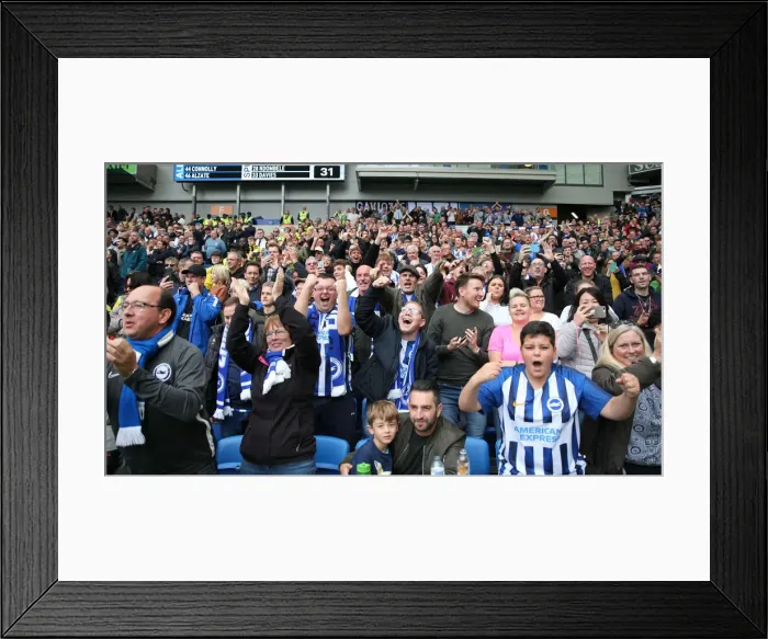 Framed Print : Brighton and Hove Albion vs. Tottenham Hotspur: Premier League Showdown at American Express Community Stadium (5th October 2019) Framed Print : Brighton and Hove Albion vs. Tottenham Hotspur: Premier League Showdown at American Express Community Stadium (5th October 2019)