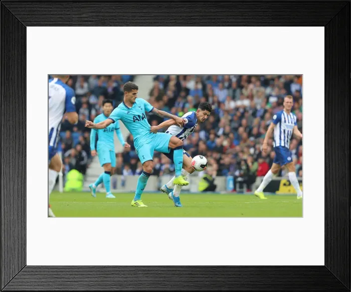 Framed Print : Brighton and Hove Albion vs. Tottenham Hotspur: Premier League Showdown at American Express Community Stadium (5th October 2019) Framed Print : Brighton and Hove Albion vs. Tottenham Hotspur: Premier League Showdown at American Express Community Stadium (5th October 2019)