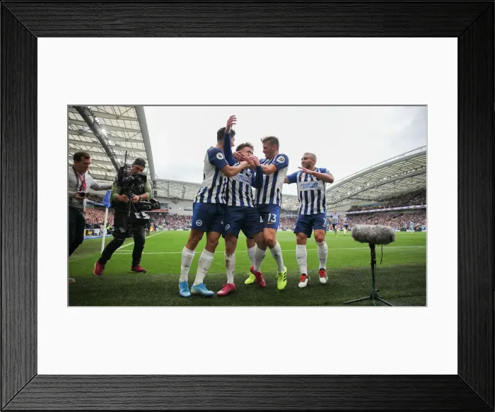 Framed Print : Brighton & Hove Albion vs. Tottenham Hotspur: Premier League Showdown at American Express Community Stadium (5th October 2019) Framed Print : Brighton & Hove Albion vs. Tottenham Hotspur: Premier League Showdown at American Express Community Stadium (5th October 2019)