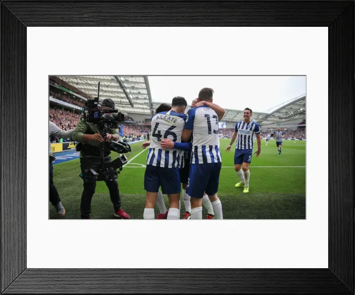 Framed Print : Brighton and Hove Albion vs. Tottenham Hotspur: Premier League Showdown at American Express Community Stadium (5th October 2019) Framed Print : Brighton and Hove Albion vs. Tottenham Hotspur: Premier League Showdown at American Express Community Stadium (5th October 2019)