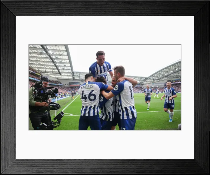 Framed Print : Brighton & Hove Albion vs. Tottenham Hotspur: Premier League Showdown at American Express Community Stadium (5th October 2019) Framed Print : Brighton & Hove Albion vs. Tottenham Hotspur: Premier League Showdown at American Express Community Stadium (5th October 2019)