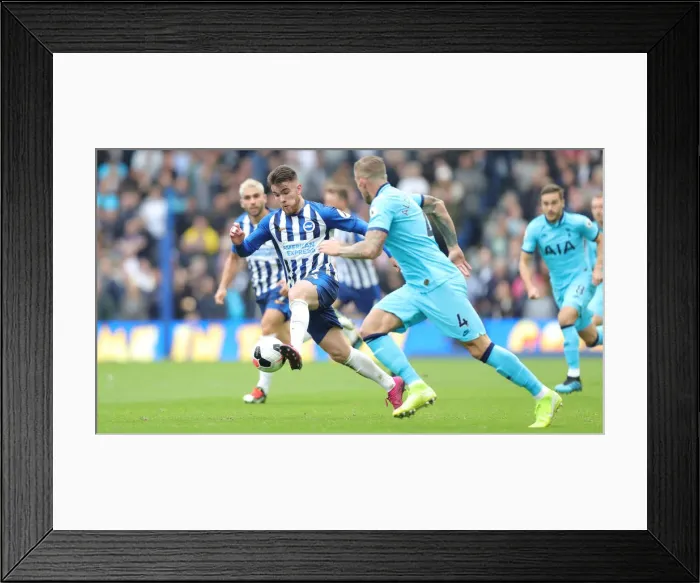 Framed Print : Brighton & Hove Albion vs. Tottenham Hotspur: Premier League Showdown at American Express Community Stadium (5th October 2019) Framed Print : Brighton & Hove Albion vs. Tottenham Hotspur: Premier League Showdown at American Express Community Stadium (5th October 2019)