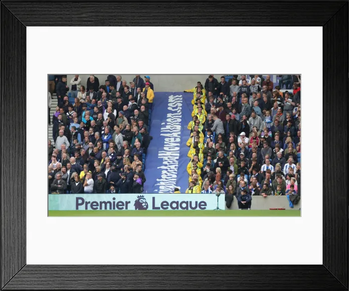 Framed Print : Brighton and Hove Albion vs. Tottenham Hotspur: Premier League Showdown at American Express Community Stadium (5th October 2019)