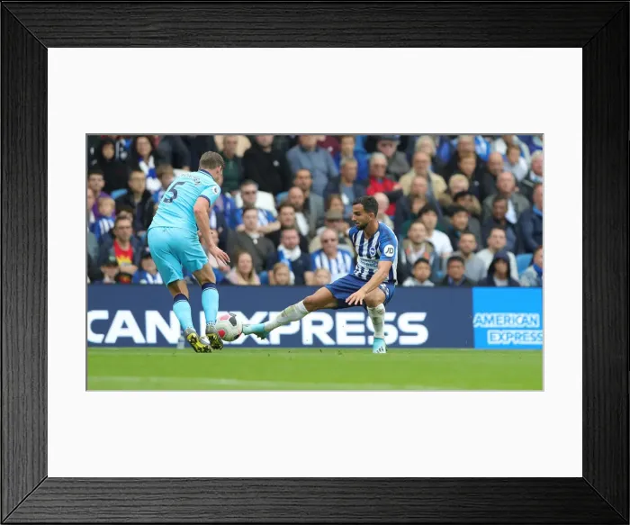 Framed Print : Brighton and Hove Albion vs. Tottenham Hotspur: Premier League Showdown at American Express Community Stadium (5th October 2019) Framed Print : Brighton and Hove Albion vs. Tottenham Hotspur: Premier League Showdown at American Express Community Stadium (5th October 2019)
