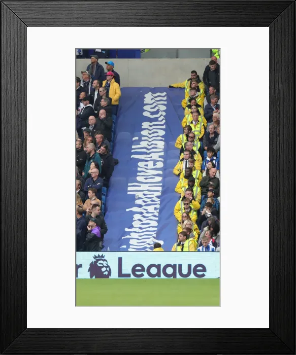 Framed Print : Brighton & Hove Albion vs. Tottenham Hotspur: Premier League Showdown at American Express Community Stadium (5th October 2019) Framed Print : Brighton & Hove Albion vs. Tottenham Hotspur: Premier League Showdown at American Express Community Stadium (5th October 2019)