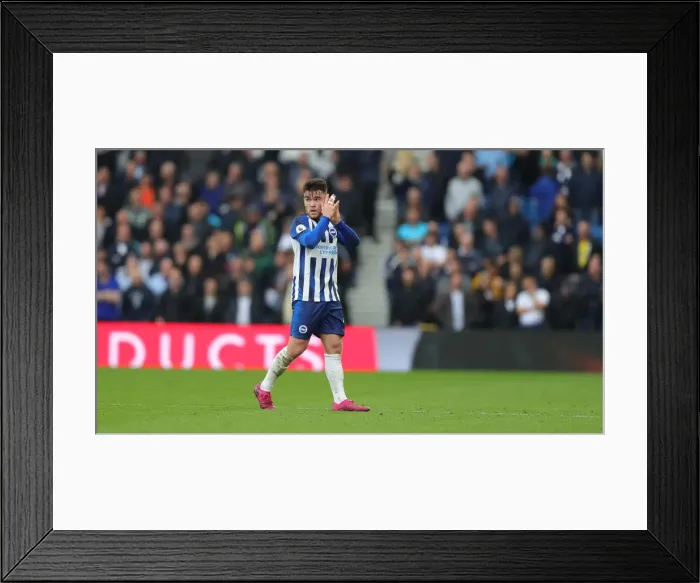 Framed Print : Brighton and Hove Albion vs. Tottenham Hotspur: Premier League Showdown at American Express Community Stadium (5th October 2019) Framed Print : Brighton and Hove Albion vs. Tottenham Hotspur: Premier League Showdown at American Express Community Stadium (5th October 2019)