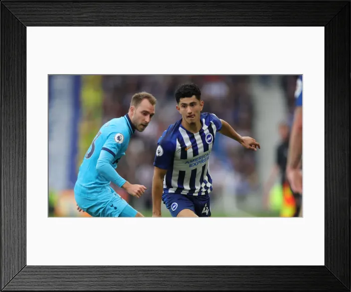 Framed Print : Brighton and Hove Albion vs. Tottenham Hotspur: Premier League Showdown at American Express Community Stadium (5th October 2019) Framed Print : Brighton and Hove Albion vs. Tottenham Hotspur: Premier League Showdown at American Express Community Stadium (5th October 2019)