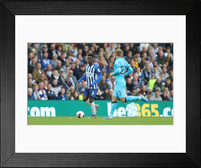 Framed Print : Brighton and Hove Albion vs. Tottenham Hotspur: Premier League Showdown at American Express Community Stadium (5th October 2019) Framed Print : Brighton and Hove Albion vs. Tottenham Hotspur: Premier League Showdown at American Express Community Stadium (5th October 2019)