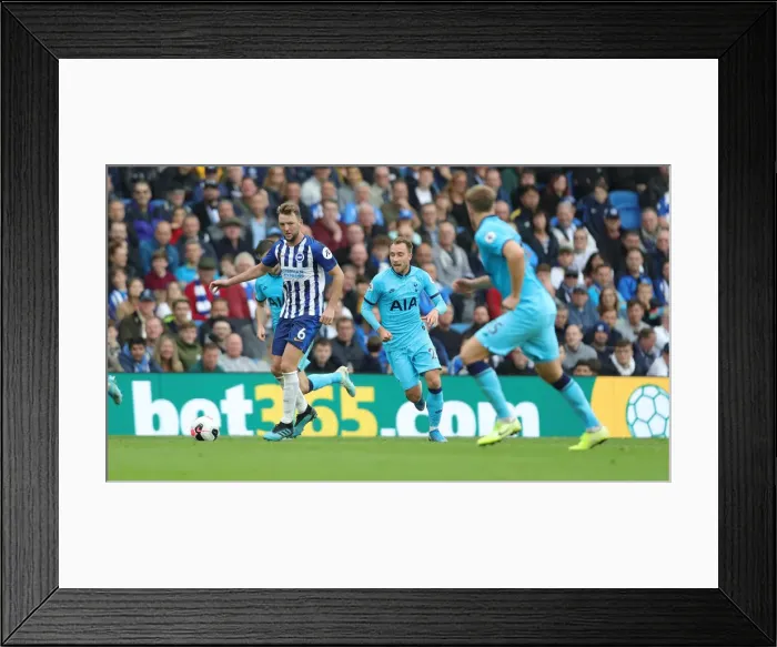 Framed Print : Brighton and Hove Albion vs. Tottenham Hotspur: Premier League Showdown at American Express Community Stadium (5th October 2019) Framed Print : Brighton and Hove Albion vs. Tottenham Hotspur: Premier League Showdown at American Express Community Stadium (5th October 2019)