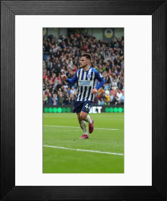 Framed Print : Brighton and Hove Albion vs. Tottenham Hotspur: Premier League Showdown at American Express Community Stadium (5th October 2019) Framed Print : Brighton and Hove Albion vs. Tottenham Hotspur: Premier League Showdown at American Express Community Stadium (5th October 2019)