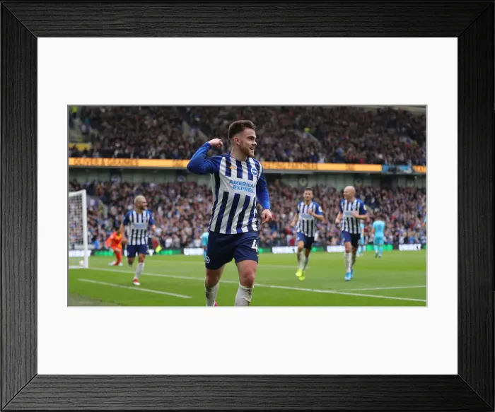 Framed Print : Brighton and Hove Albion vs. Tottenham Hotspur: Premier League Showdown at American Express Community Stadium (5th October 2019) Framed Print : Brighton and Hove Albion vs. Tottenham Hotspur: Premier League Showdown at American Express Community Stadium (5th October 2019)