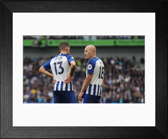 Framed Print : Brighton and Hove Albion vs. Tottenham Hotspur: Premier League Showdown at American Express Community Stadium (5th October 2019) Framed Print : Brighton and Hove Albion vs. Tottenham Hotspur: Premier League Showdown at American Express Community Stadium (5th October 2019)