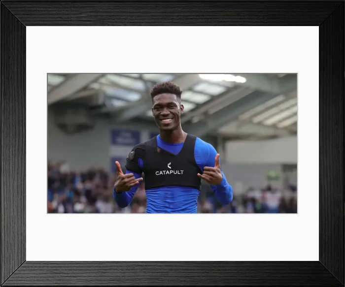Framed Print : Brighton and Hove Albion vs. Tottenham Hotspur: Premier League Showdown at American Express Community Stadium (5th October 2019) Framed Print : Brighton and Hove Albion vs. Tottenham Hotspur: Premier League Showdown at American Express Community Stadium (5th October 2019)