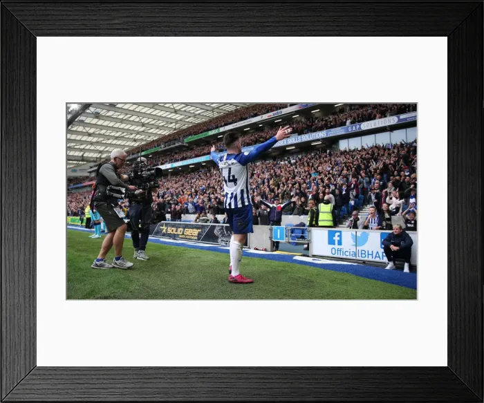 Framed Print : Brighton and Hove Albion vs. Tottenham Hotspur: Premier League Showdown at American Express Community Stadium (5th October 2019) Framed Print : Brighton and Hove Albion vs. Tottenham Hotspur: Premier League Showdown at American Express Community Stadium (5th October 2019)