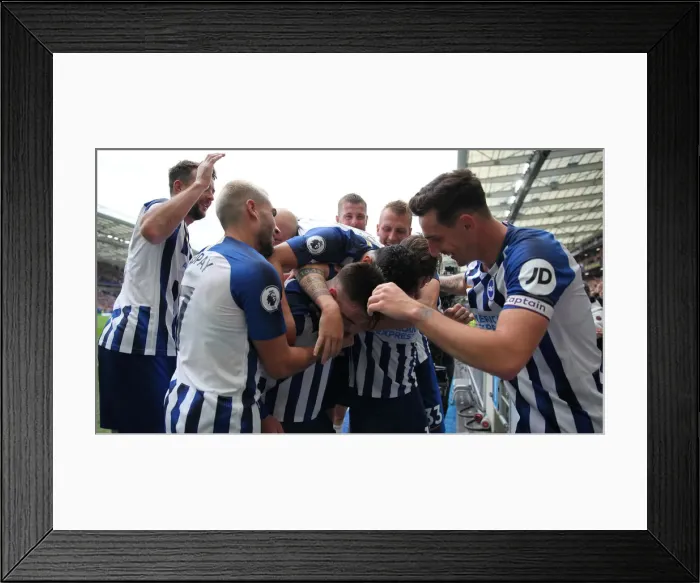 Framed Print : Brighton and Hove Albion vs. Tottenham Hotspur: Premier League Showdown at American Express Community Stadium (5th October 2019) Framed Print : Brighton and Hove Albion vs. Tottenham Hotspur: Premier League Showdown at American Express Community Stadium (5th October 2019)