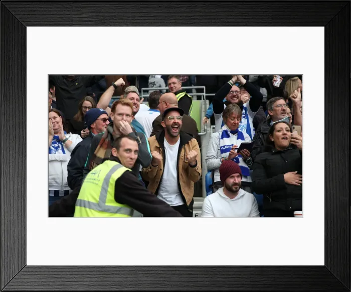 Framed Print : Brighton and Hove Albion vs. Tottenham Hotspur: Premier League Showdown at American Express Community Stadium (5th October 2019) Framed Print : Brighton and Hove Albion vs. Tottenham Hotspur: Premier League Showdown at American Express Community Stadium (5th October 2019)